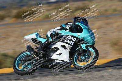 media/Nov-15-2024-CVMA Friday Practice (Fri) [[b142d29251]]/4-Group 4 and Trackday/Session 1 (Turn 14 Speed Pans)/